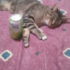 Meet your Posher, Scott